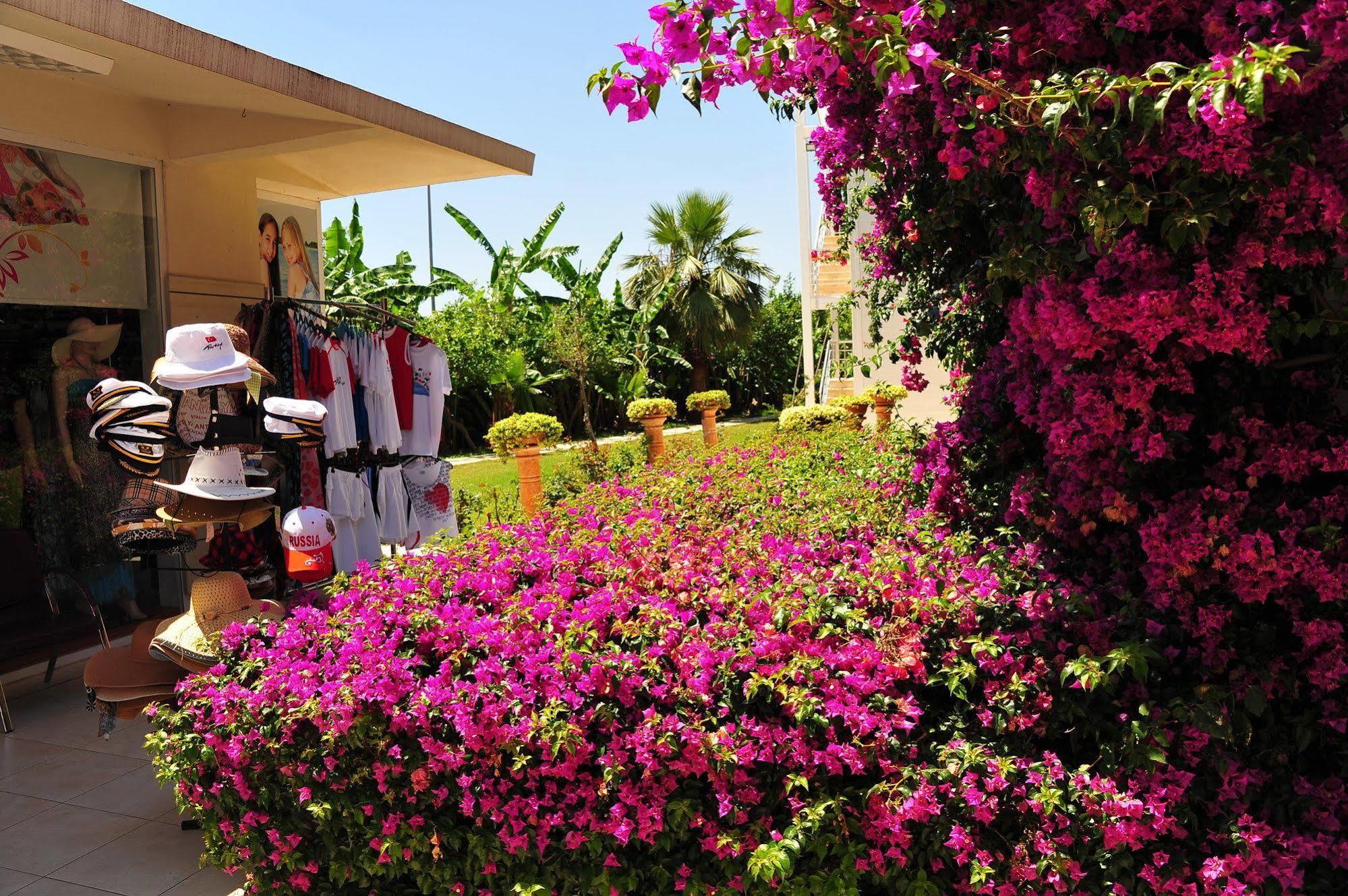 Daima Resort Hotel Kemer Exteriér fotografie